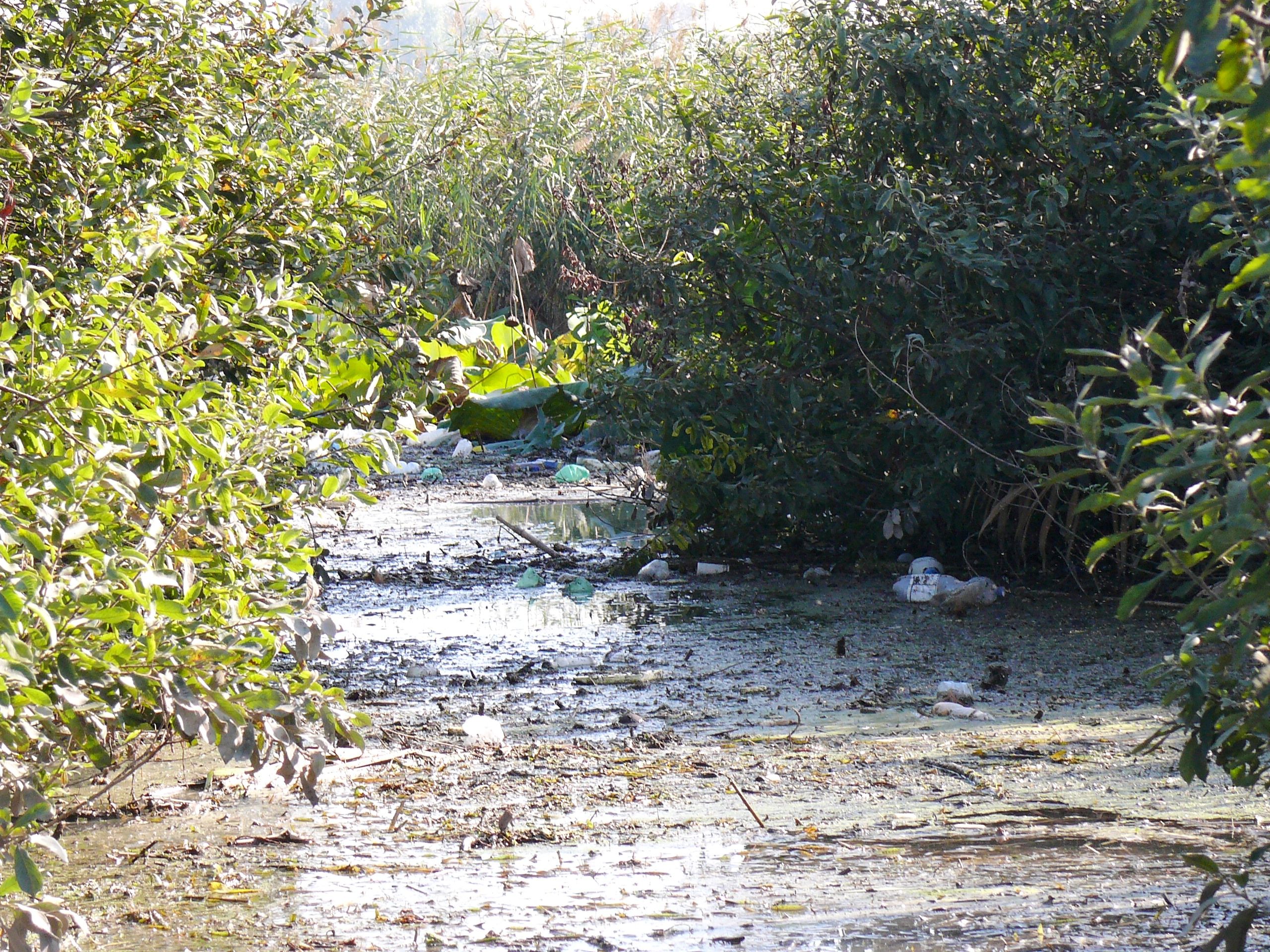 PIU' ACQUA AL FIUME MINCIO